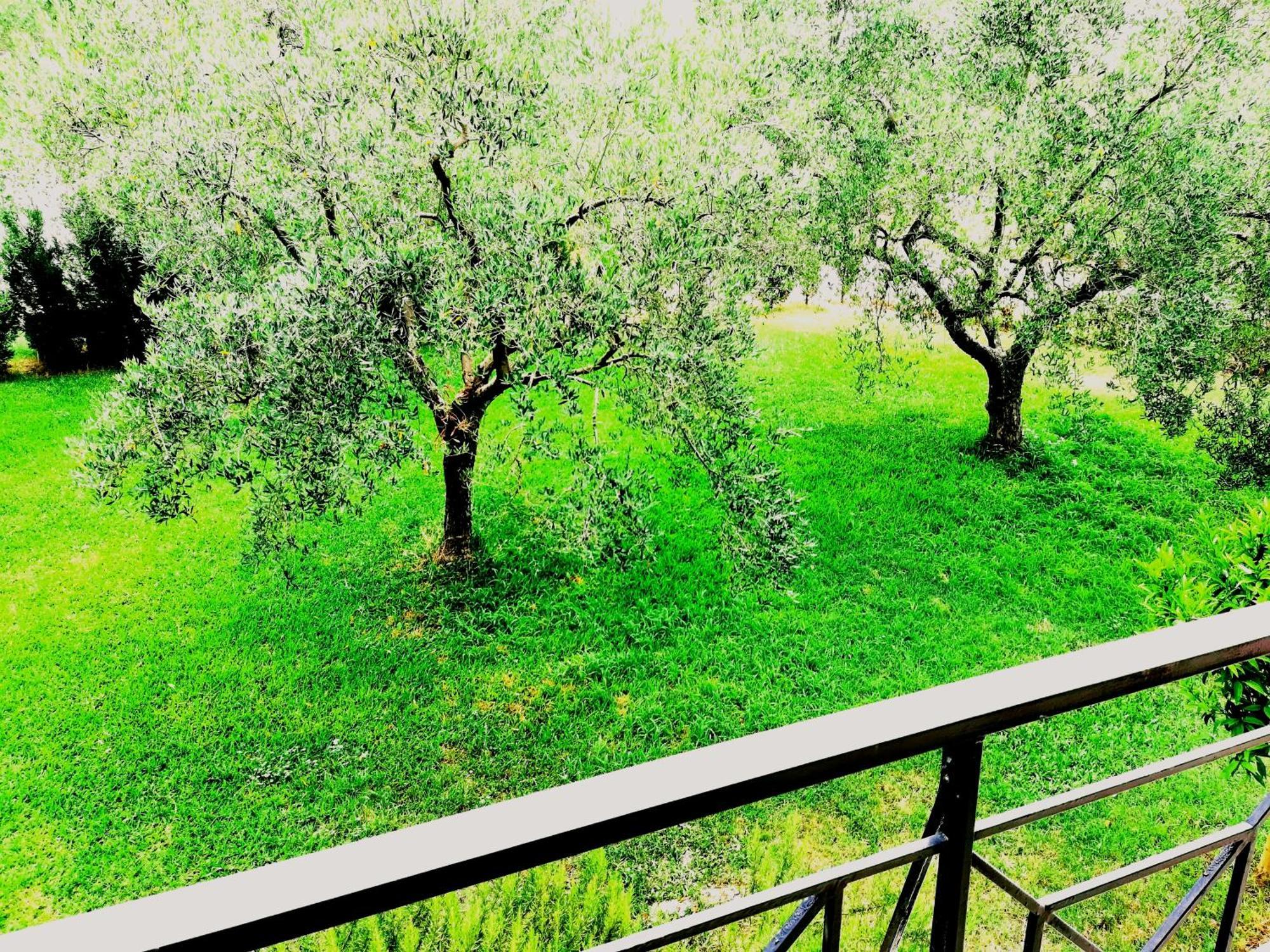 Giorgos Apartments Skála Foúrkas المظهر الخارجي الصورة
